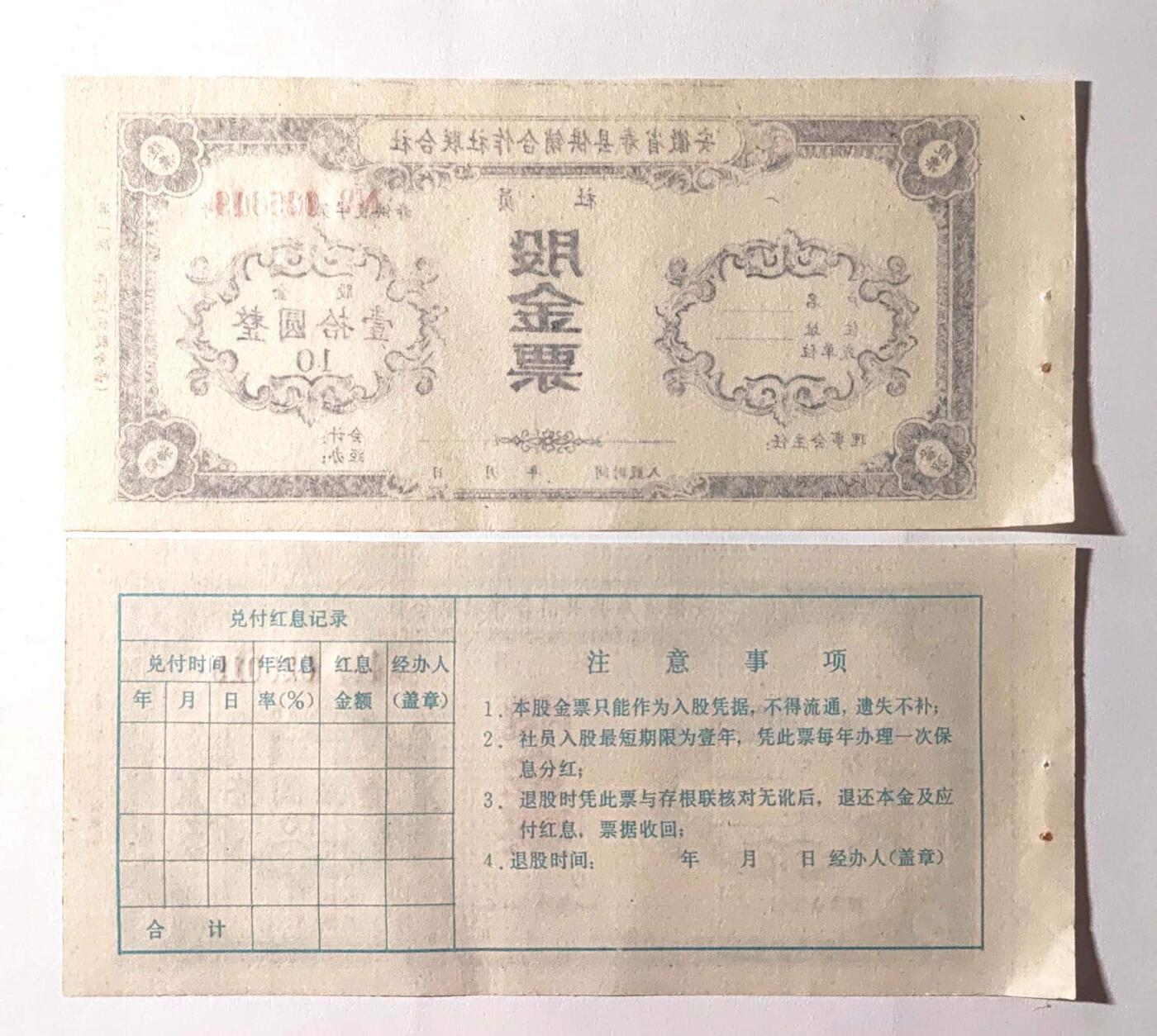 沧河堂057 安徽首先功效合作社联合社 股金票 十元