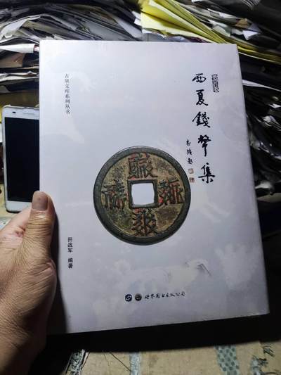 西夏钱币集（9品左右） - 西夏钱币集（9品左右）