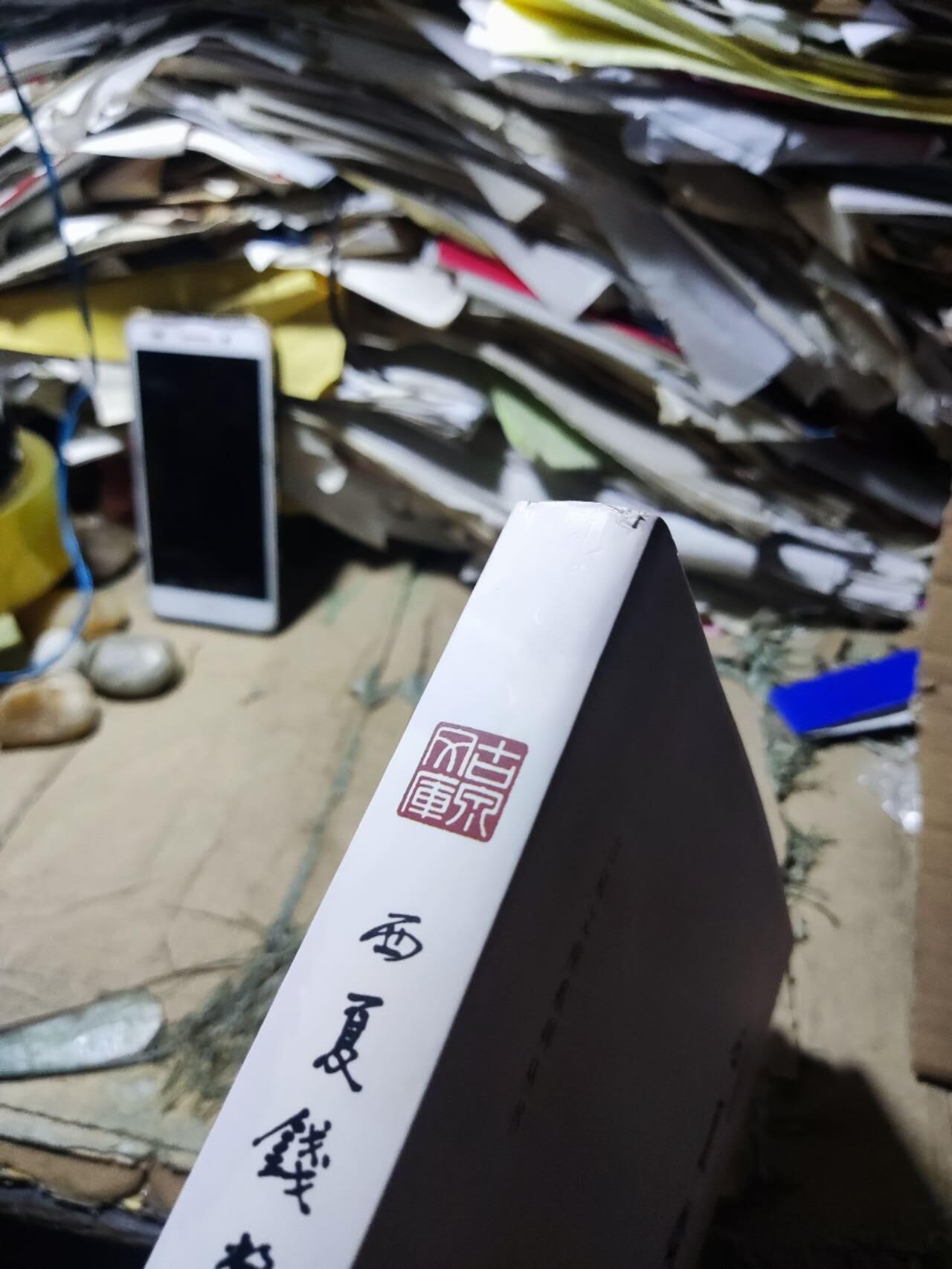 西夏钱币集（8.5品左右）