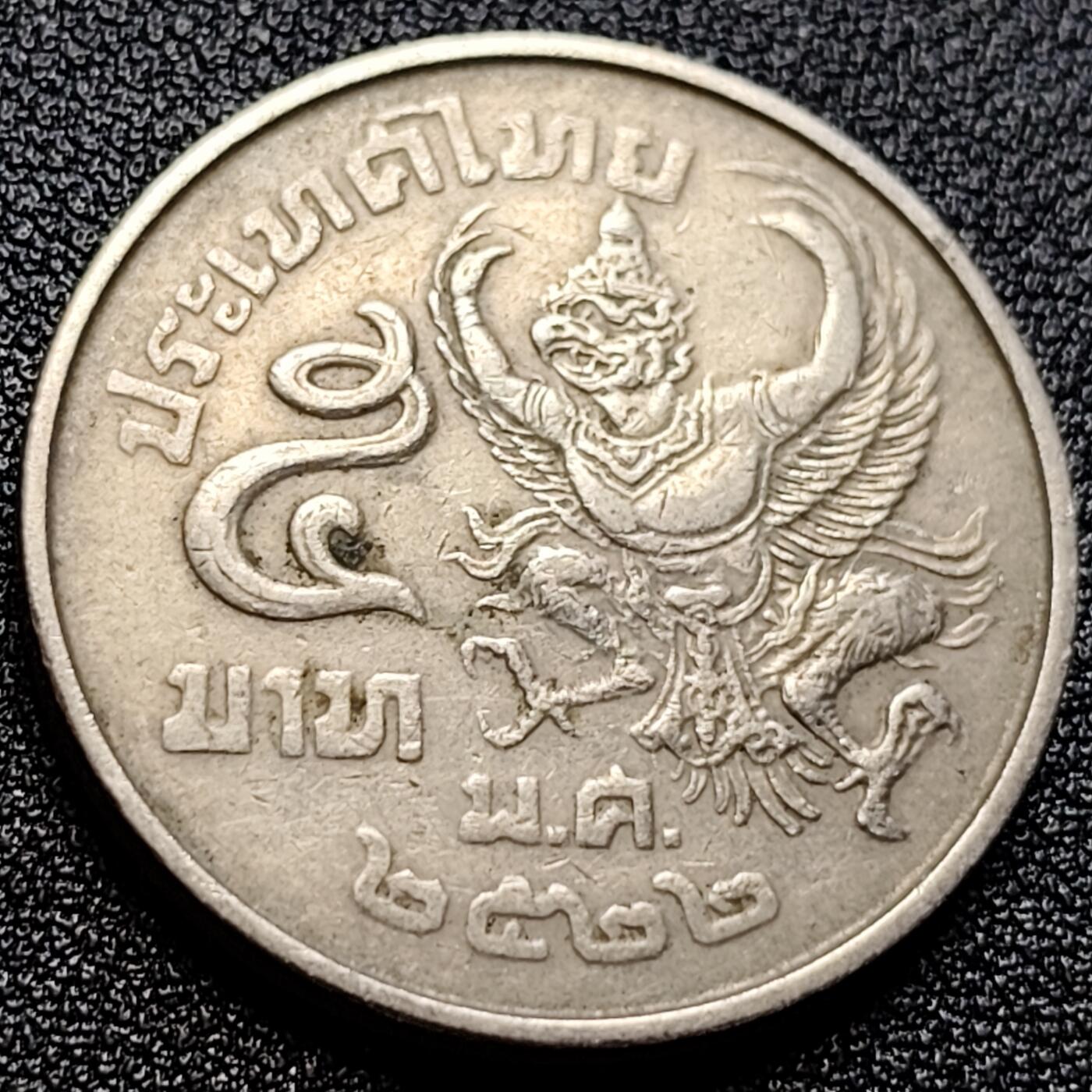 泉币菌-第110场-精品福利场 。