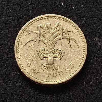 【全场包邮】纯粹捡漏拍466场 - 英国1990年1镑威尔士葱韭