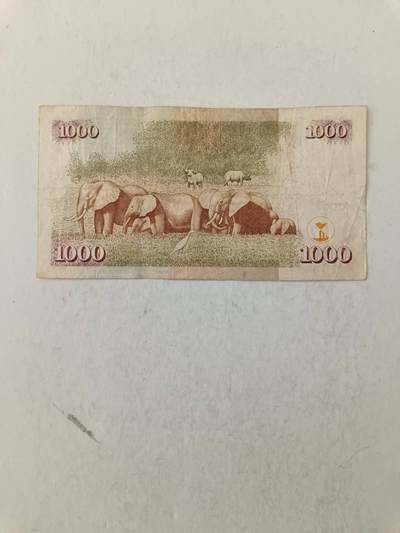 【20251010】非全新纸币第293场 肯尼亚2010年1000先令，汇率价约为55元