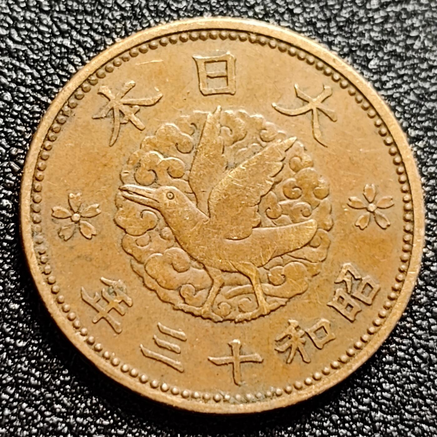 泉币菌-第110场-精品福利场 。