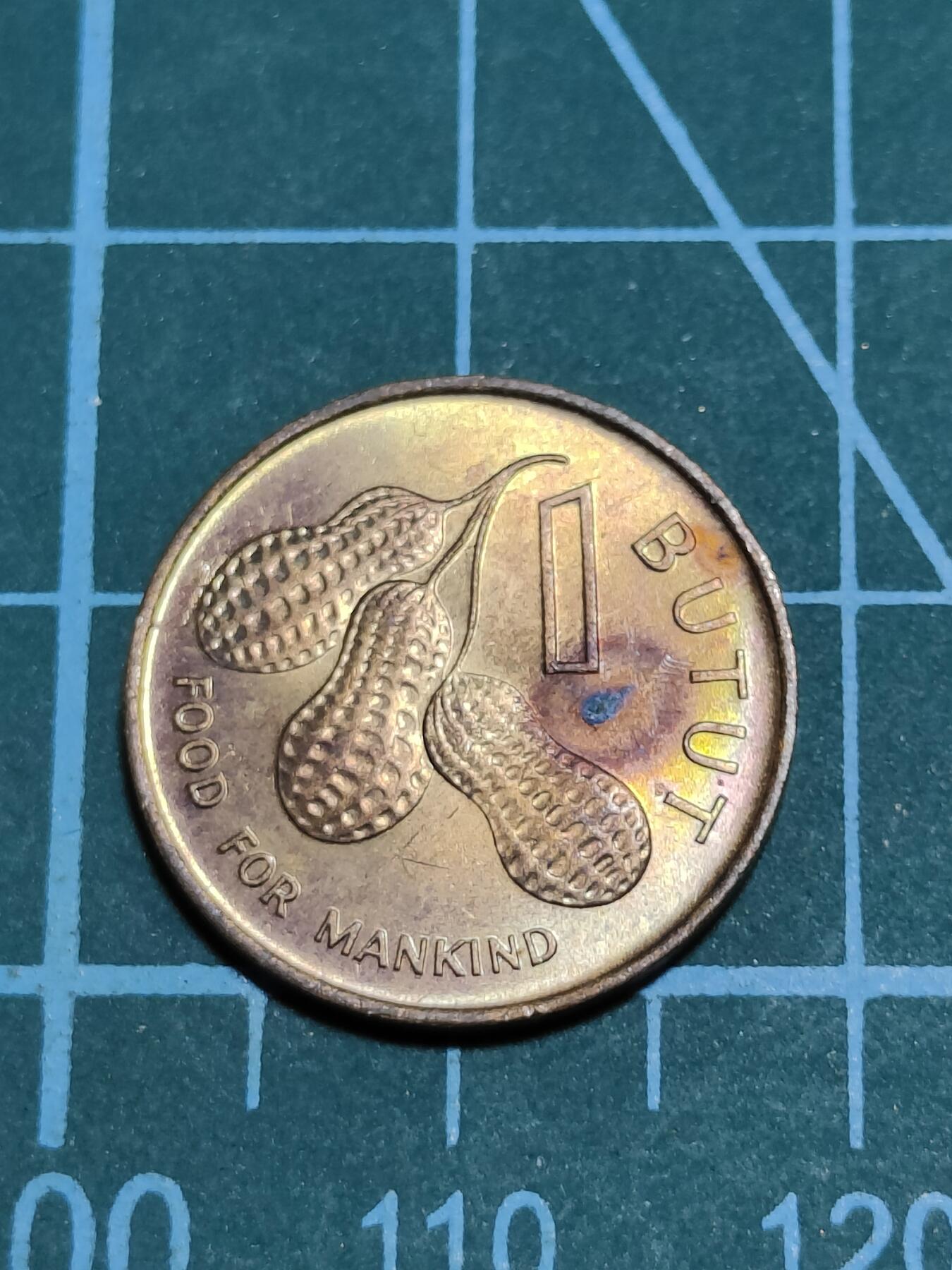 2025年第一百零五场(总第一百三十一场）外国好品散币(免佣金) 冈比亚🇬🇲1974年1布图(FAO币)