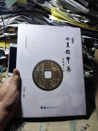 西夏钱币集（8.5品左右） - 西夏钱币集（8.5品左右）