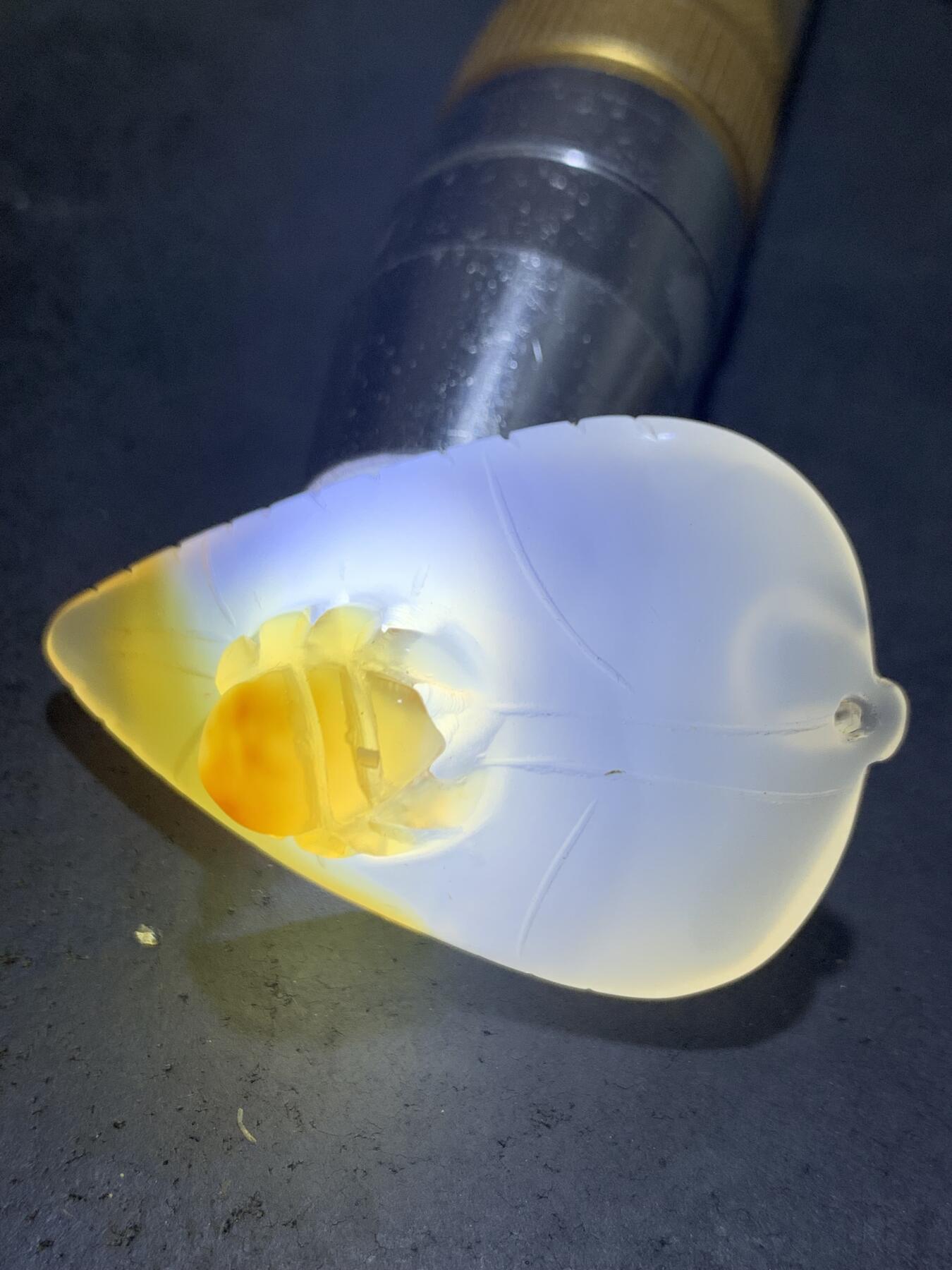精美手工雕刻天然原皮马达加斯加玛瑙俏色巧雕树叶蜘蛛吊坠(把件)一个
