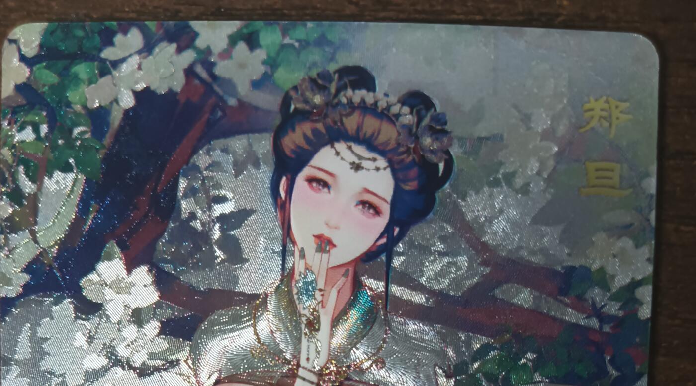 花开卡拍第42期（10月12号周日截拍，品控勿拍!!!拍品不寄存，运费5元，自制卡难免瑕疵，可能存在轻微撞角爆边等出厂瑕疵，品控介意勿拍！） 砖家卡牌艳绝天下，郑旦艺术版，粗闪1张