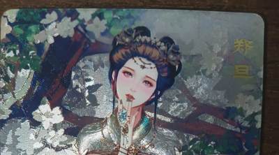 花开卡拍第42期（10月12号周日截拍，品控勿拍!!!拍品不寄存，运费5元，自制卡难免瑕疵，可能存在轻微撞角爆边等出厂瑕疵，品控介意勿拍！） - 砖家卡牌艳绝天下，郑旦艺术版，粗闪1张