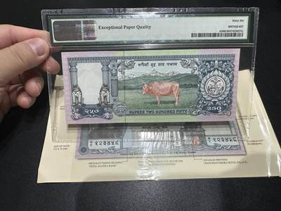 《外钞收藏家》第五百七十四期（精选场）（本平台长期征集拍品、欢迎藏友们联系合作） 1997年尼泊尔250卢比 纪念钞 PMG66 带原装册子