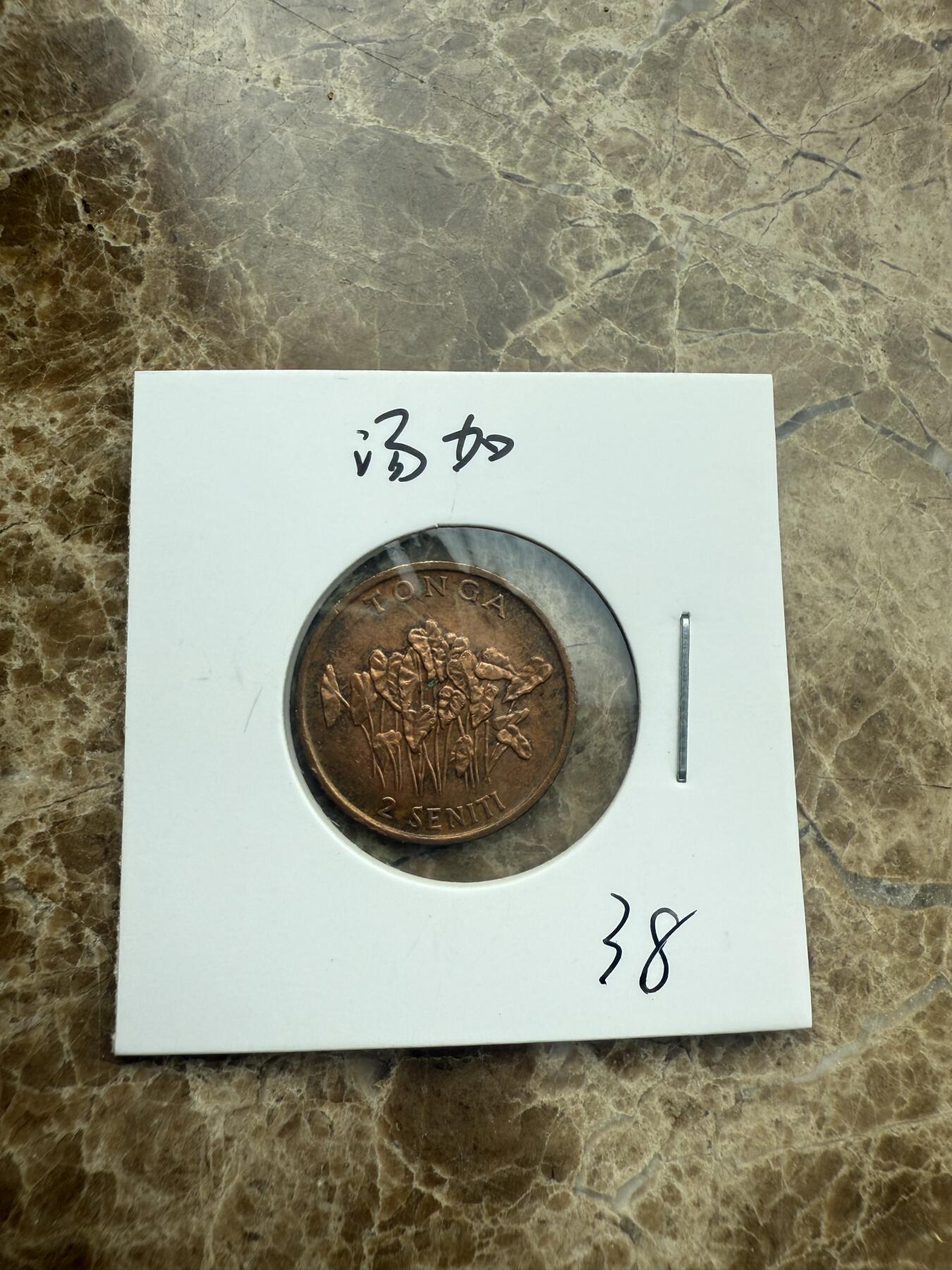 四海杂货铺第二场 汤加硬币