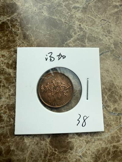 四海杂货铺第二场 - 汤加硬币