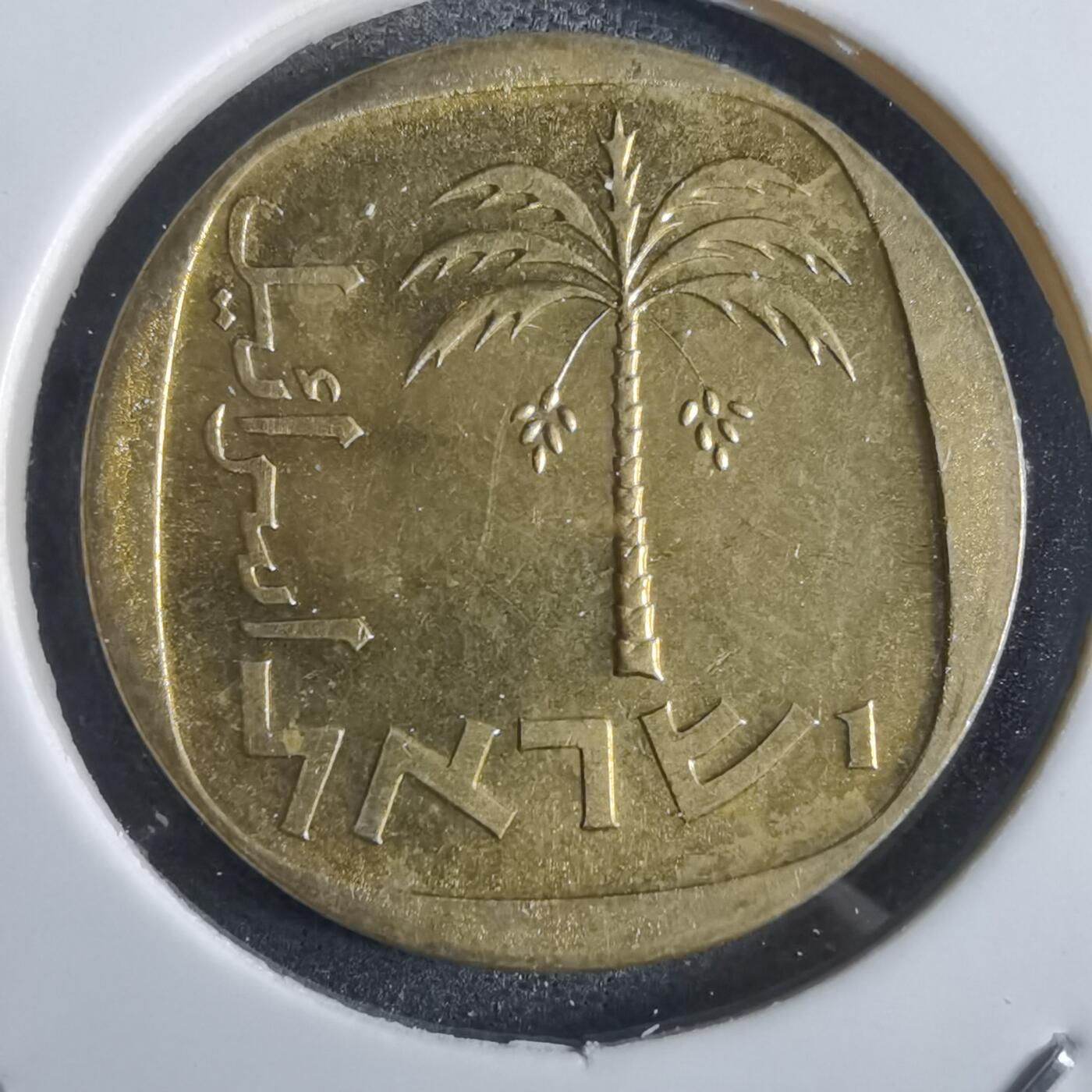 沼泽如烟--第867场 以色列