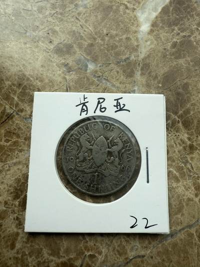 四海杂货铺第二场 - 肯尼亚硬币