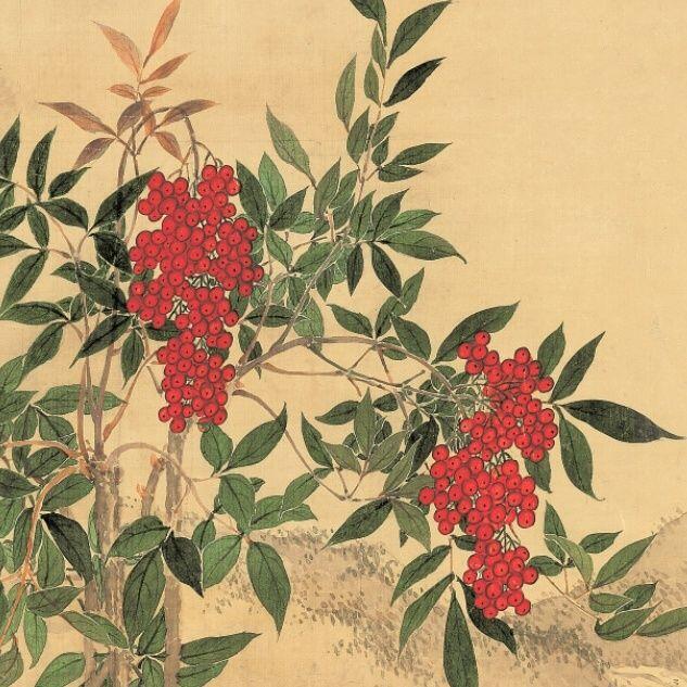 听雨轩 杂相专场（1）