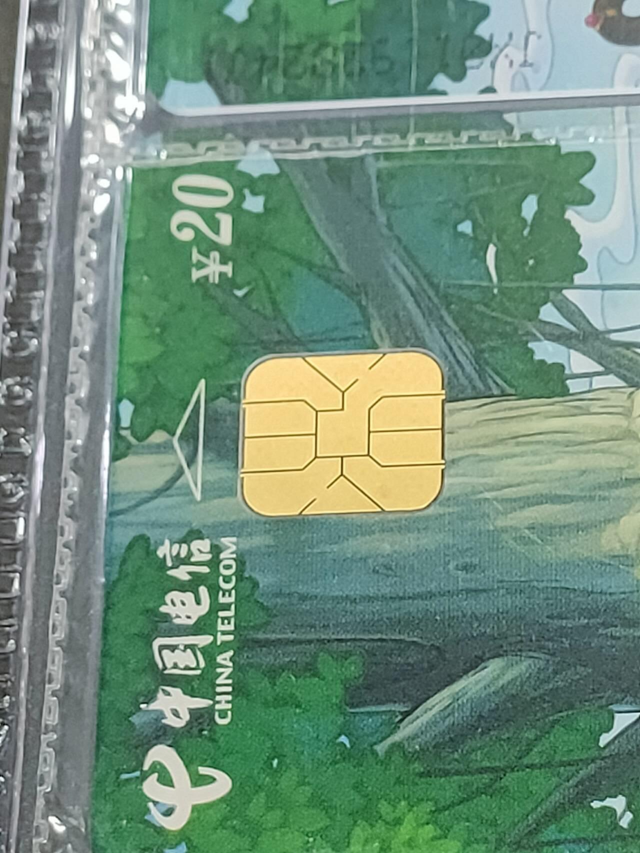 公藏第123期评级卡拍卖