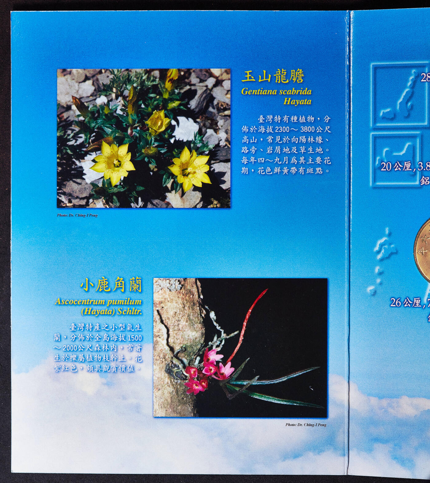 【俄甄集藏】桂馥兰馨-2025年(043)10-15星期三晚 19:30 全场包邮 中国台湾1997年民国86年蝴蝶卡装五角-50元硬币6枚一套，UNC品相