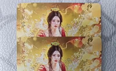 花开卡拍第42期（10月12号周日截拍，品控勿拍!!!拍品不寄存，运费5元，自制卡难免瑕疵，可能存在轻微撞角爆边等出厂瑕疵，品控介意勿拍！） - 燎原 刷子人间传 羊献容双服饰 幻彩普卡2张