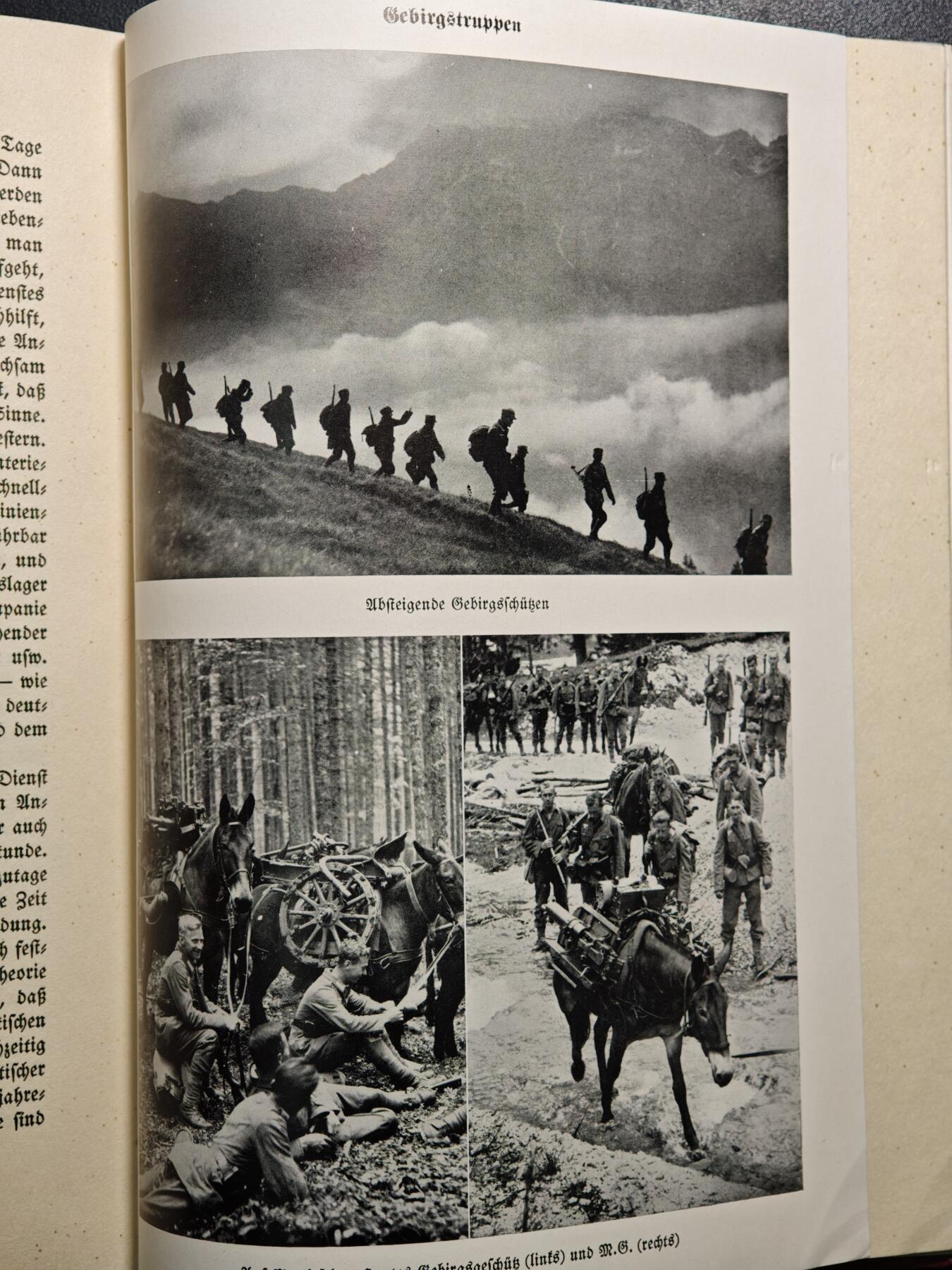 【德藏】世界币章拍卖第149期（拍品征集中~欢迎藏友联系） 93新 德国第三帝国1936年记录年鉴 布面硬壳精装 全书约：190页（原图请联系客服）