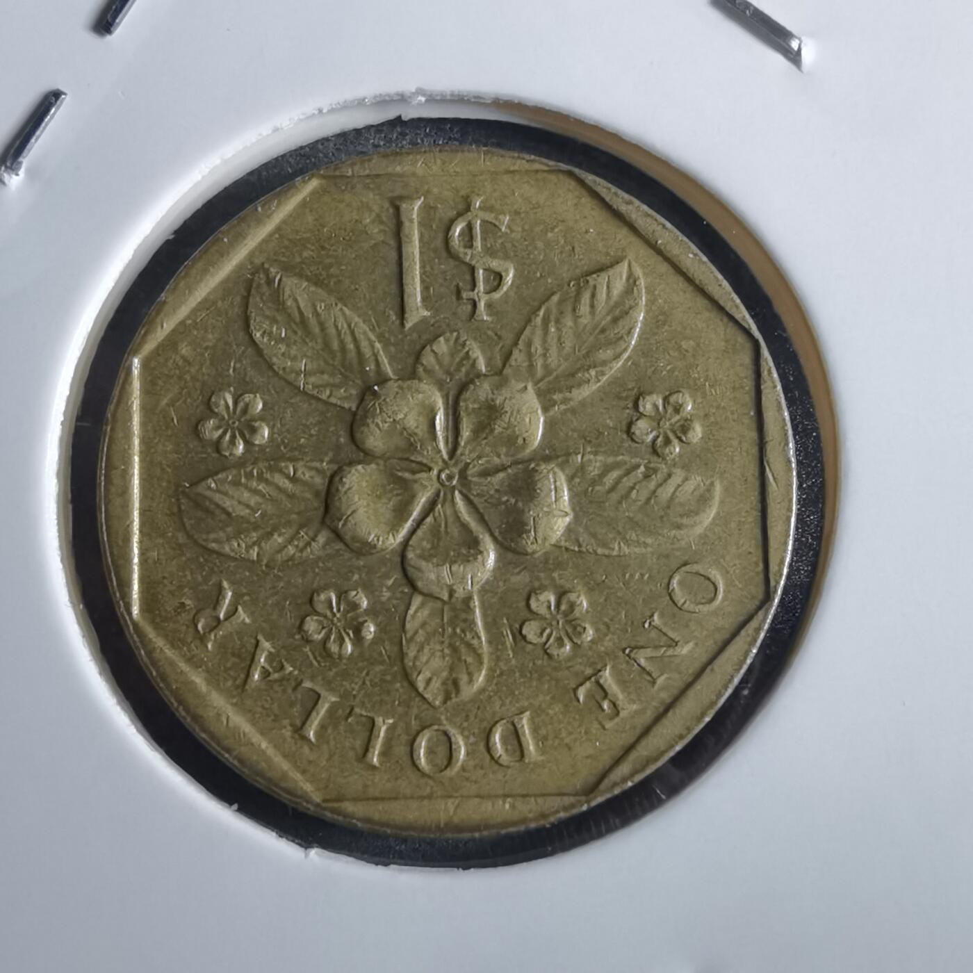 沼泽如烟--第867场