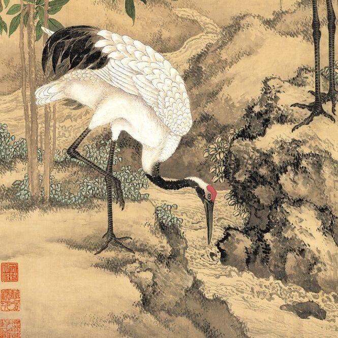 听雨轩 杂相专场（1）