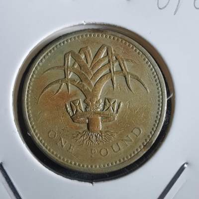 沼泽如烟--第867场 - 英国1990年一磅