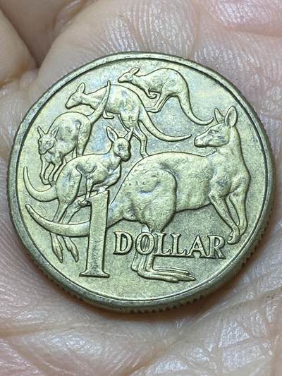 2025年第一百零七场(总第一百三十三场）外国好品散币(免佣金) - 澳大利亚🇦🇺1984单年份1元(伊丽莎白二世中年花冠)