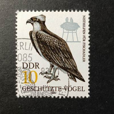 嘉禾收藏    【第344期】            无佣金、可寄存、满30元包邮 - 德国邮票🇩🇪东德