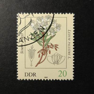 嘉禾收藏    【第344期】            无佣金、可寄存、满30元包邮 - 德国邮票🇩🇪东德