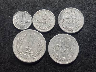 邮泉阁限时拍卖第二十九场 各国硬币专场（硬币在国外。） - 波兰1949年铝币5枚