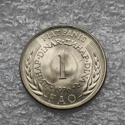 【淘币小摊】限时拍第七百六十四拍  国庆10连拍 塞尔维亚南斯拉夫专场 外出13号发货 满百包邮可预留两周  周一统一发货  - 南斯拉夫1976年1第纳尔fao镍币 km61