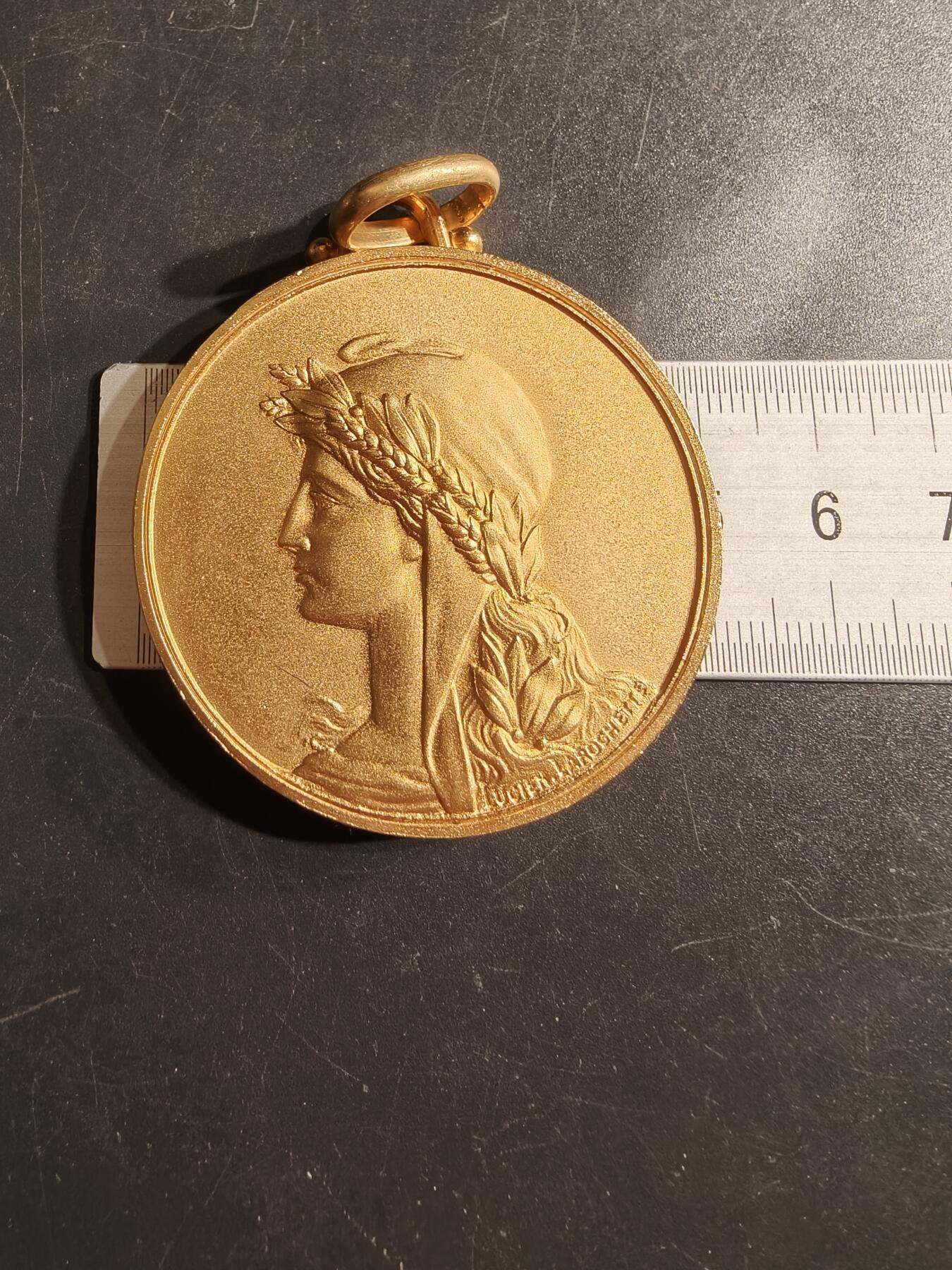 老王徽章第155期 法国人道主义协会大尺寸镀金奖章     直径50mm.   重量51.8g