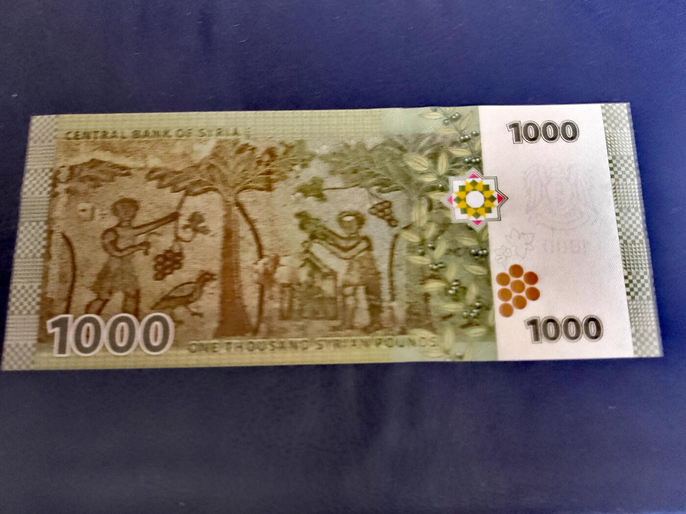 全新叙利亚2009、2013年50、100、200、500、1000磅靓品纸币5枚一组