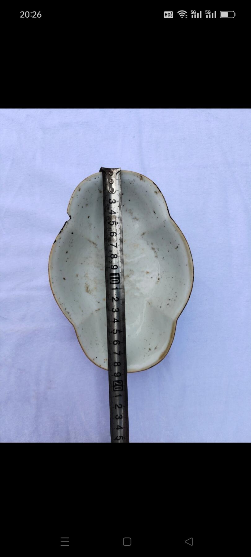 清代同治狮子狗花盆，器型好，画工好，名人画，除口沿上有点磕外，其余完整