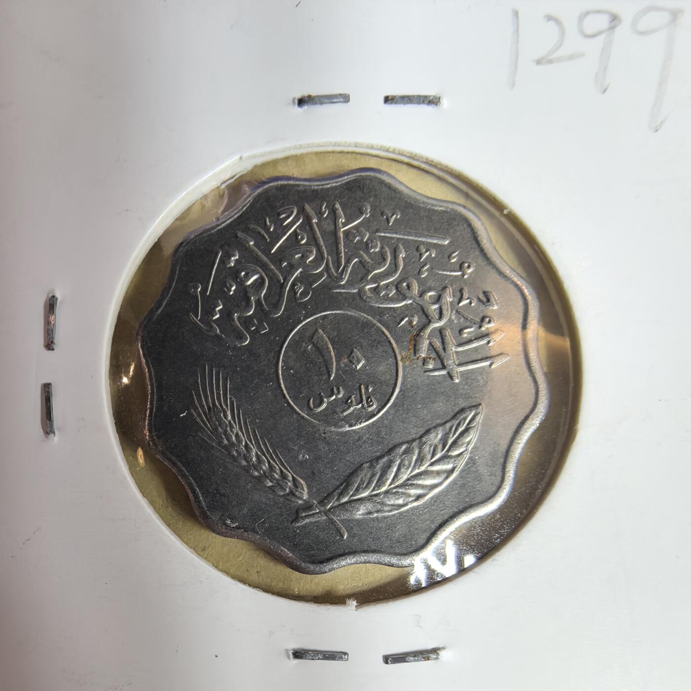 泡泡币外币第二场可代拍15038385335微信