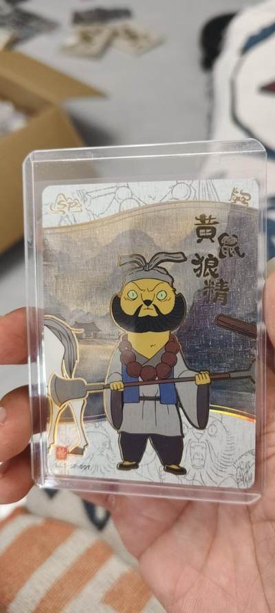 秋原瞳的小店第二十五期（持续收拍，时光冉冉，又是即将带走🍁🍁🍁飘落🌨️🌨️🌨️的季节，一大批好物正在路上，敬请期待） - 卡游浪浪山sp