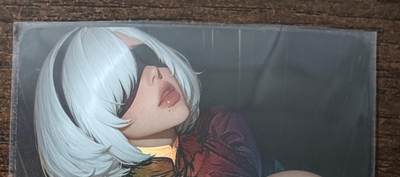 花开卡拍第42期（10月12号周日截拍，品控勿拍!!!拍品不寄存，运费5元，自制卡难免瑕疵，可能存在轻微撞角爆边等出厂瑕疵，品控介意勿拍！） - 大雷芳华 2b 彩闪1张