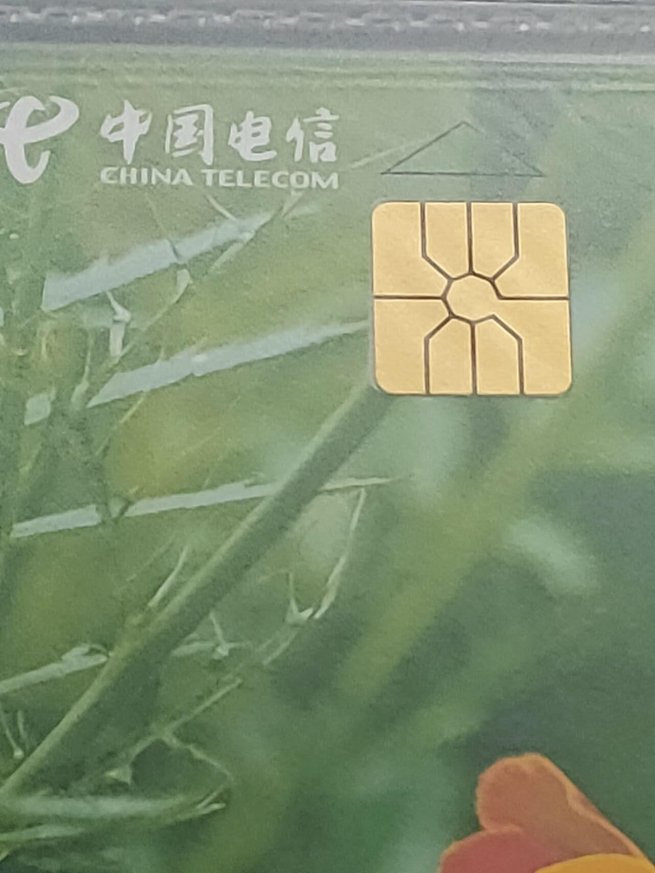公藏第123期评级卡拍卖