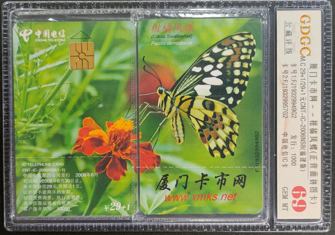 公藏第123期评级卡拍卖