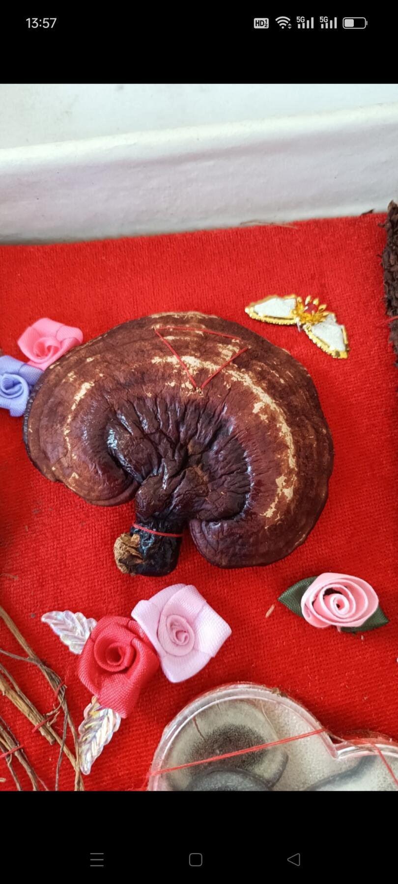 偶得 东北珍宝大全，人参 鹿茸 灵芝 不老草，95年出品，已有28年了，保存完整，收藏价值高，赠送亲友够档次，包老包真