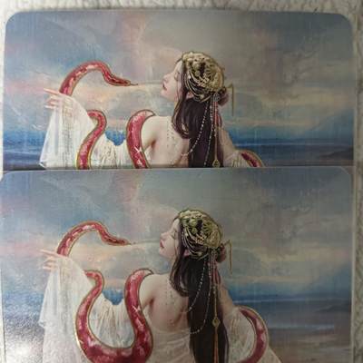 花开卡拍第42期（10月12号周日截拍，品控勿拍!!!拍品不寄存，运费5元，自制卡难免瑕疵，可能存在轻微撞角爆边等出厂瑕疵，品控介意勿拍！） - 燎原 妖姬传 刷子赤鳞蟒 双服饰幻彩2张