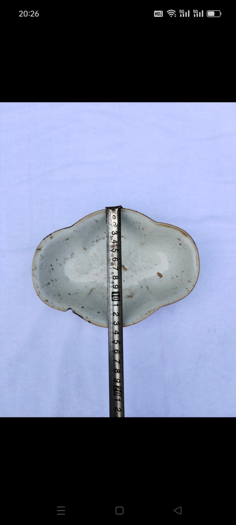 清代同治狮子狗花盆，器型好，画工好，名人画，除口沿上有点磕外，其余完整