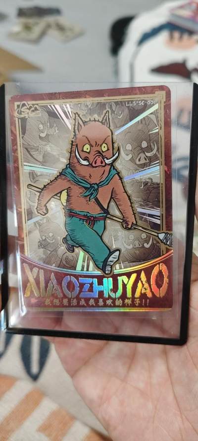 秋原瞳的小店第二十五期（持续收拍，时光冉冉，又是即将带走🍁🍁🍁飘落🌨️🌨️🌨️的季节，一大批好物正在路上，敬请期待） - 卡游浪浪山sc