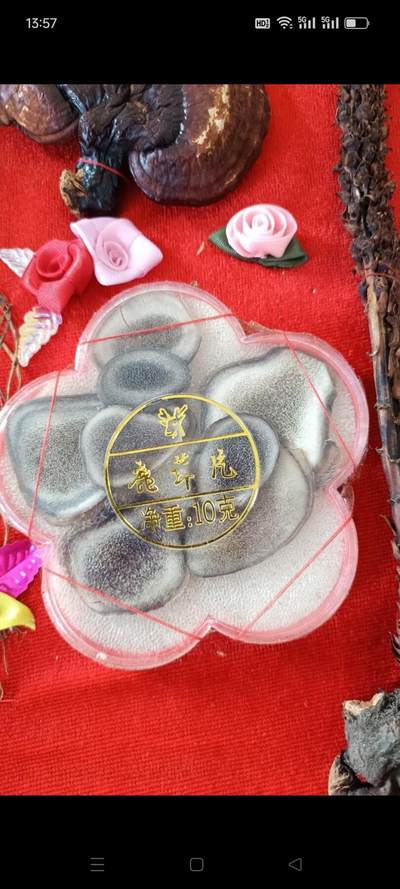 偶得 东北珍宝大全，人参 鹿茸 灵芝 不老草，95年出品，已有28年了，保存完整，收藏价值高，赠送亲友够档次，包老包真 - 偶得 东北珍宝大全，人参 鹿茸 灵芝 不老草，95年出品，已有28年了，保存完整，收藏价值高，赠送亲友够档次，包老包真