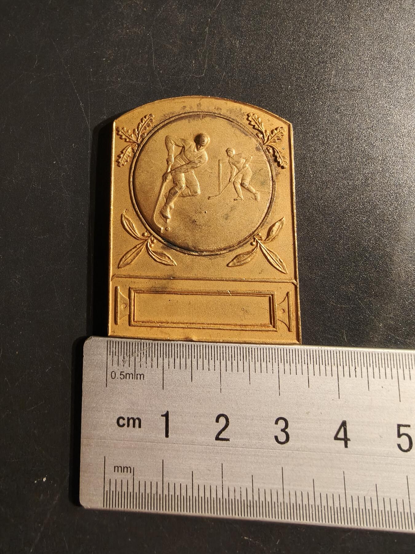 老王徽章第155期 法国曲棍球运动方形镀金大铜章     尺寸46×33mm.   重量37.5g