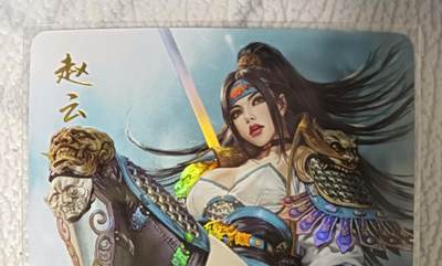 花开卡拍第42期（10月12号周日截拍，品控勿拍!!!拍品不寄存，运费5元，自制卡难免瑕疵，可能存在轻微撞角爆边等出厂瑕疵，品控介意勿拍！） - 燎原 黑暗王朝 三国姬 彩闪 赵云