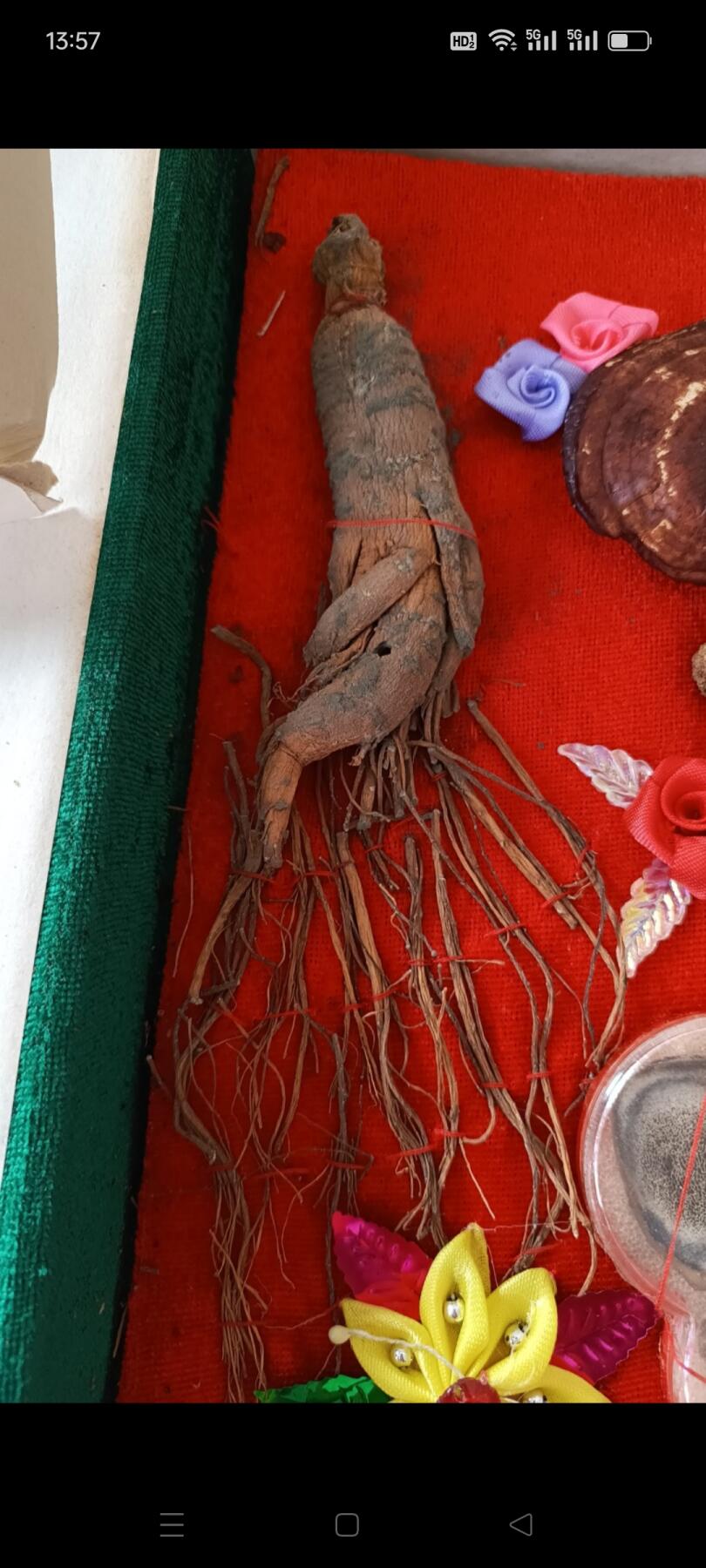 偶得 东北珍宝大全，人参 鹿茸 灵芝 不老草，95年出品，已有28年了，保存完整，收藏价值高，赠送亲友够档次，包老包真