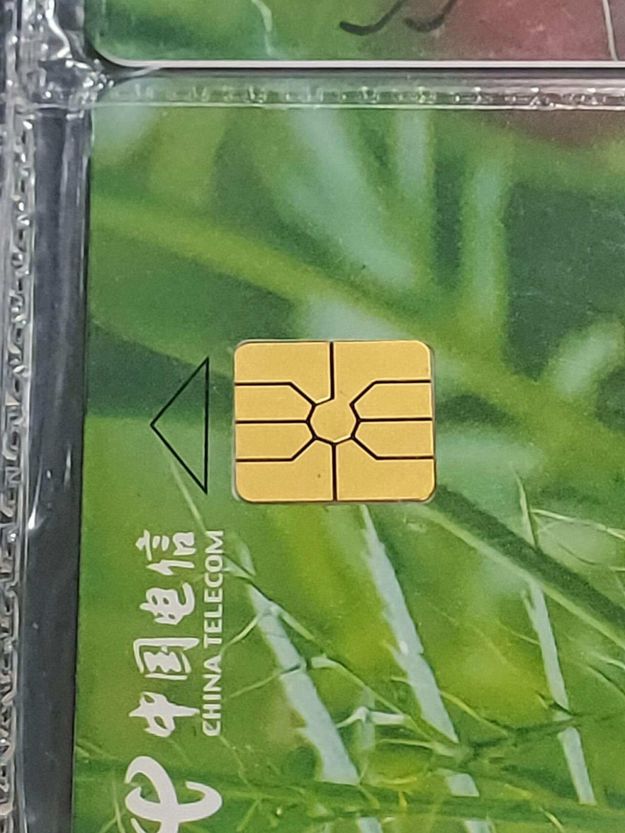 公藏第123期评级卡拍卖