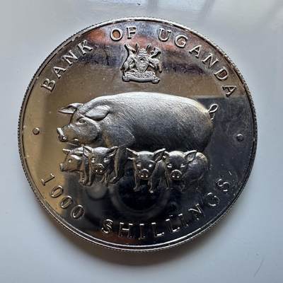 🌹外币初藏🌹🐯2025年第113场  每周二四六晚8️⃣点 接代拍 乌干达1995年猪年1000先令纪念币 精制克朗币
