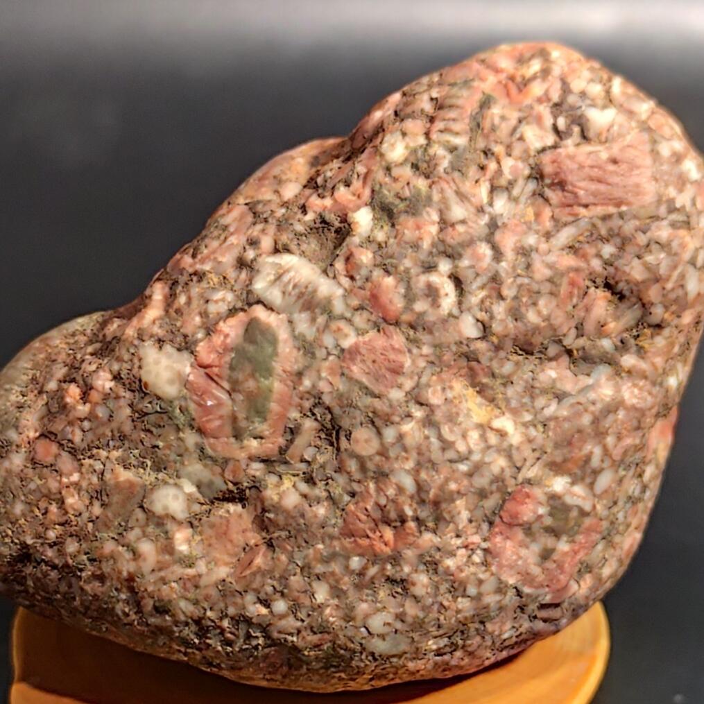 希腊罗马丝路打制币化石【中外钱币放漏】专场！陆小鱼的钱币仓，限时拍卖第080场 4.5亿年前海洋生物化石大集合多宝原石 海百合/太阳花单体/蜂巢珊瑚等多种生物化石 少见180g