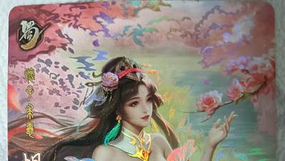 花开卡拍第42期（10月12号周日截拍，品控勿拍!!!拍品不寄存，运费5元，自制卡难免瑕疵，可能存在轻微撞角爆边等出厂瑕疵，品控介意勿拍！） - 鸡腿卡牌 洛伊三国 胡金定 彩闪 1张